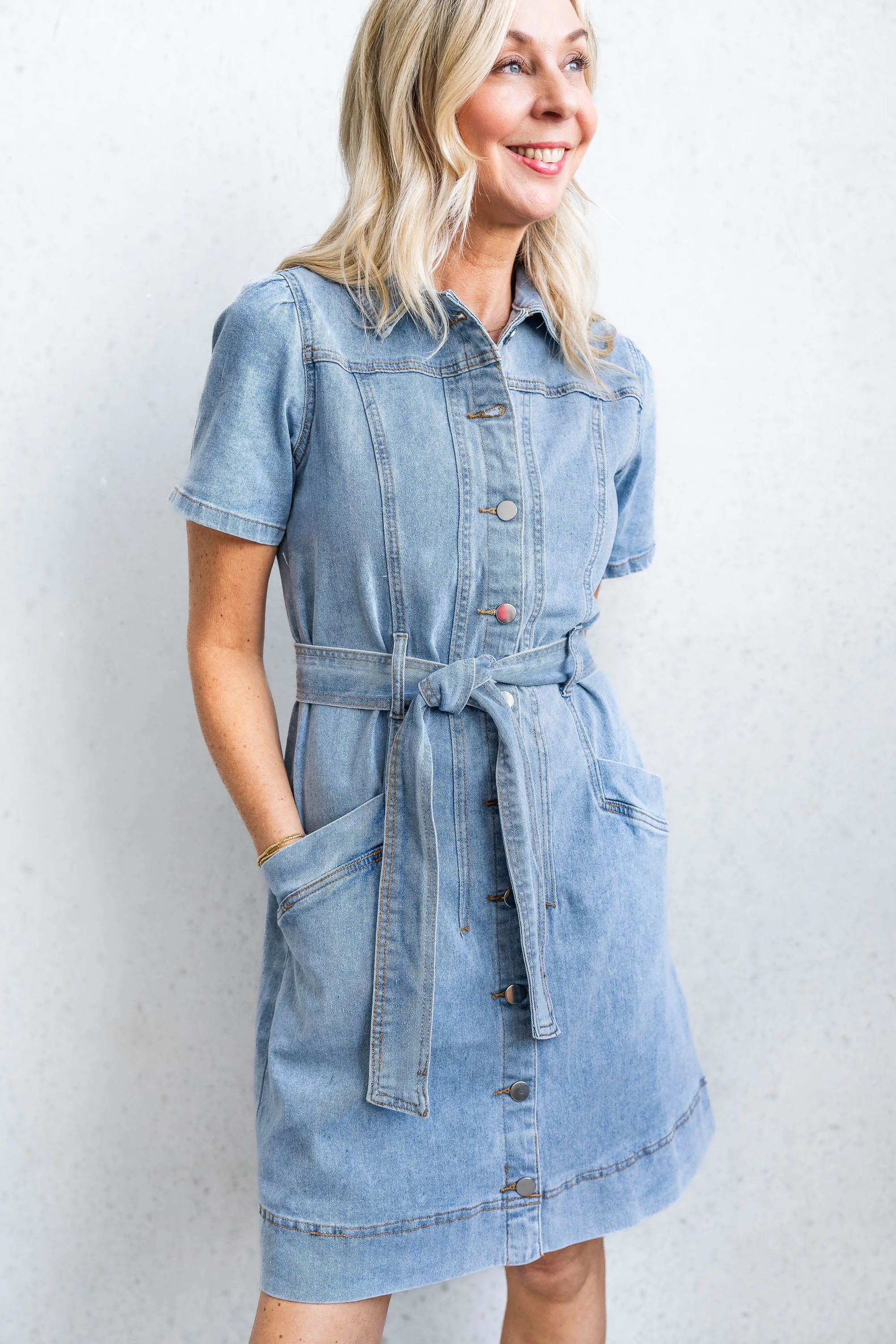 Ari Denim Dress