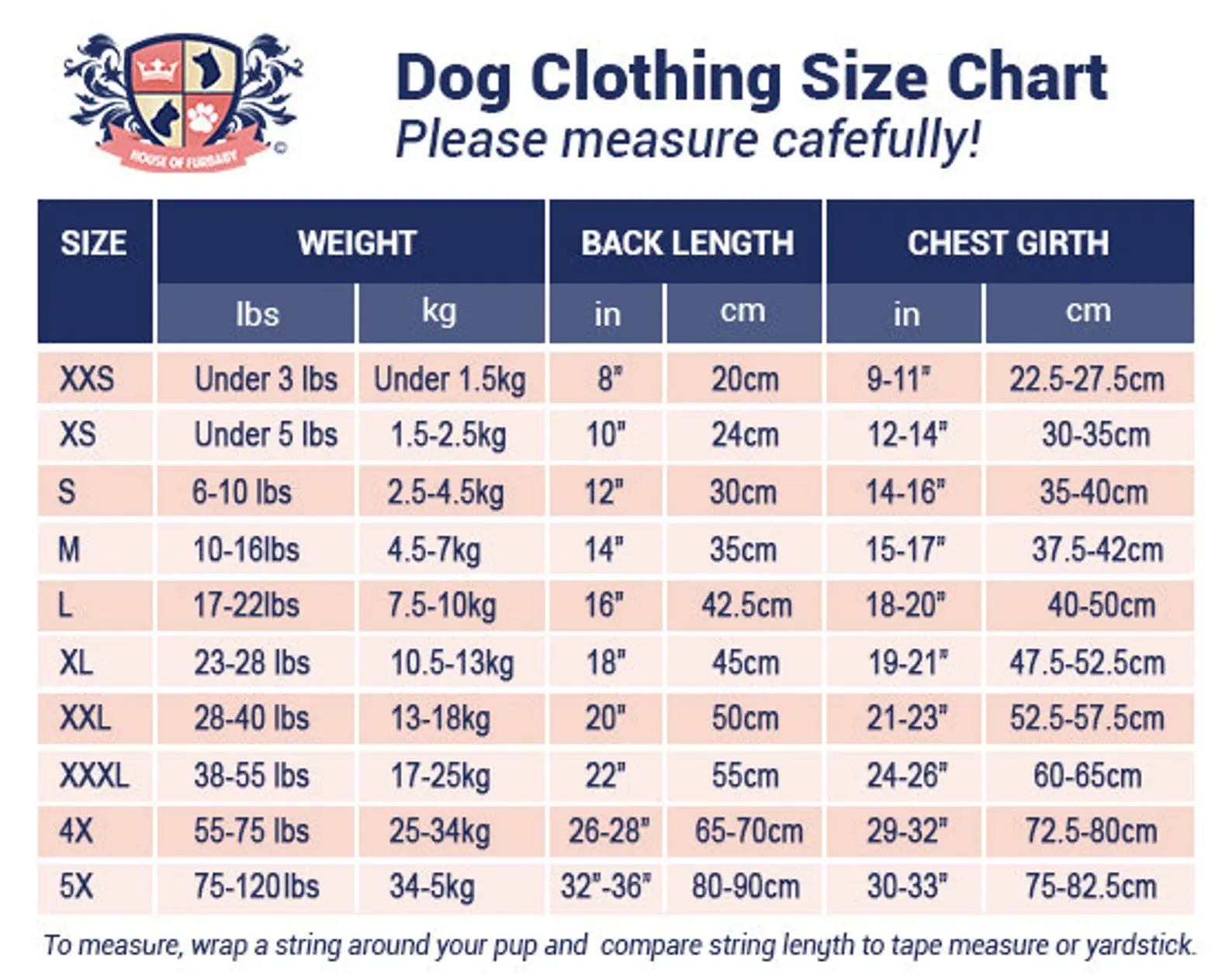 Dog Shirt | Pugkin Spice